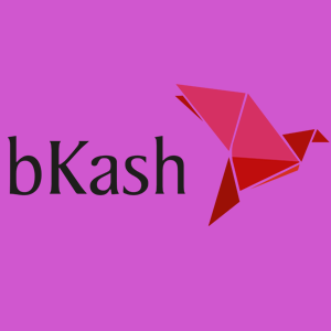 bKash logo png